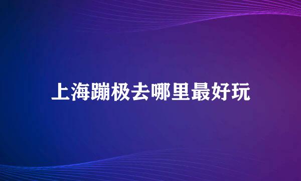 上海蹦极去哪里最好玩