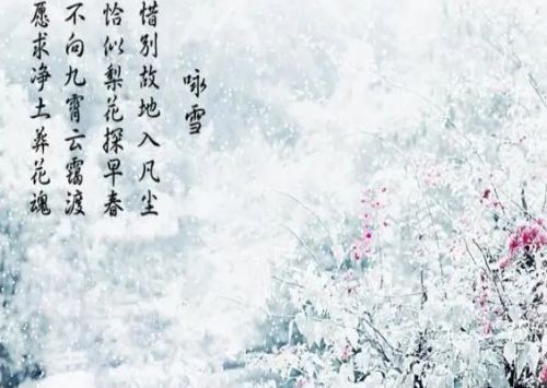 关于雪的诗词有哪些