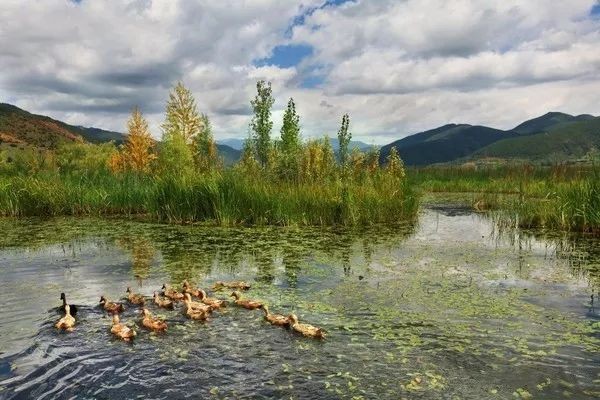 落花流水是什么意思