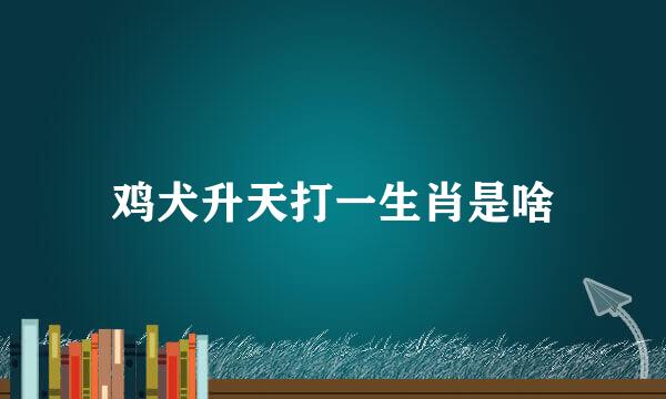 鸡犬升天打一生肖是啥