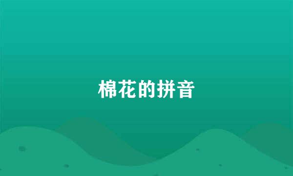 棉花的拼音