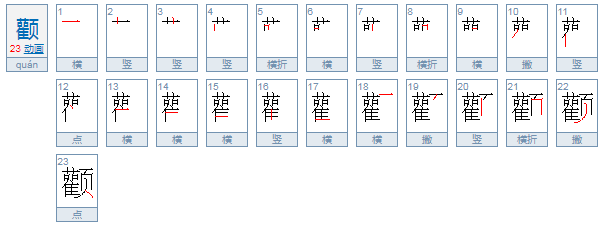 颧组词语