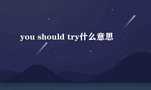 you should try什么意思