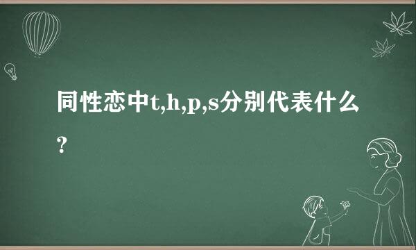 同性恋中t,h,p,s分别代表什么？