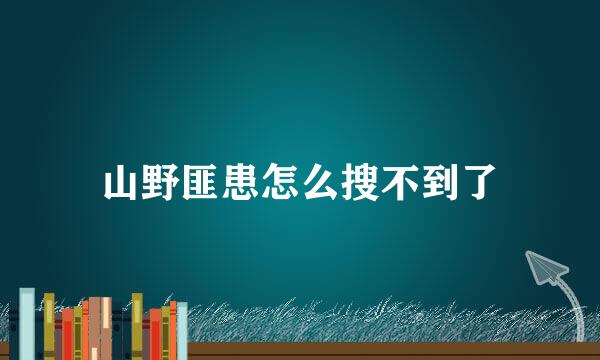 山野匪患怎么搜不到了