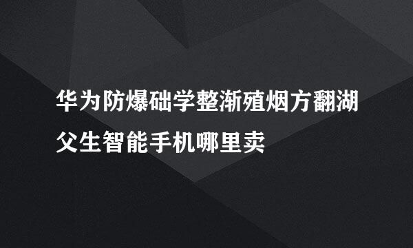 华为防爆础学整渐殖烟方翻湖父生智能手机哪里卖