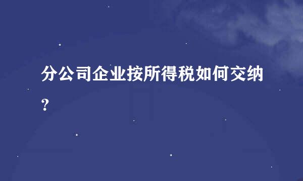 分公司企业按所得税如何交纳？