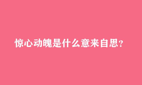 惊心动魄是什么意来自思？