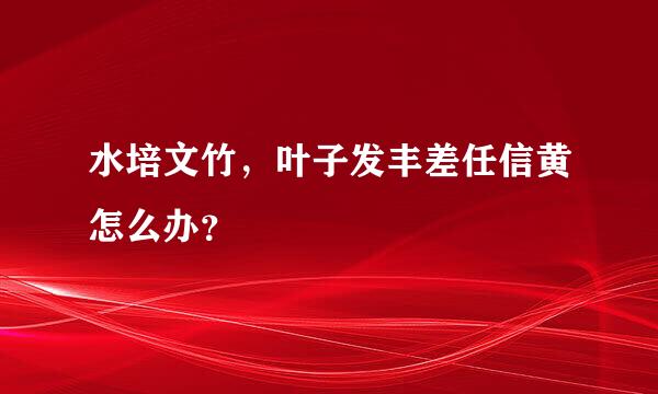 水培文竹，叶子发丰差任信黄怎么办？