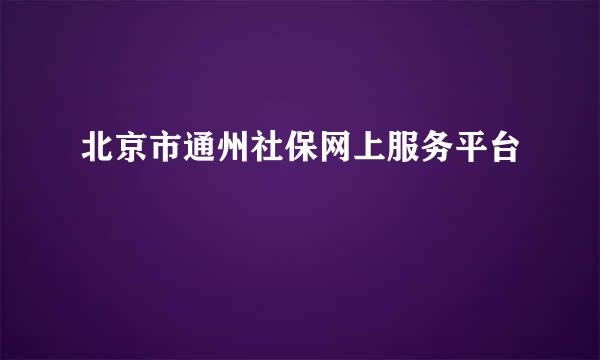 北京市通州社保网上服务平台