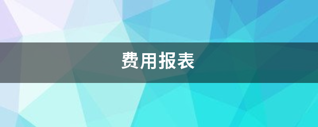 费用报表