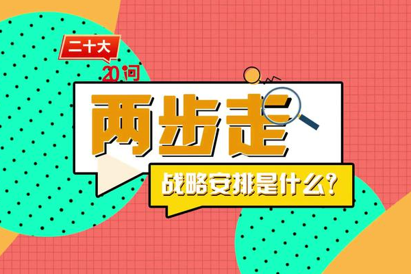 两步走战略安排表功若求养零使歌具体是什么