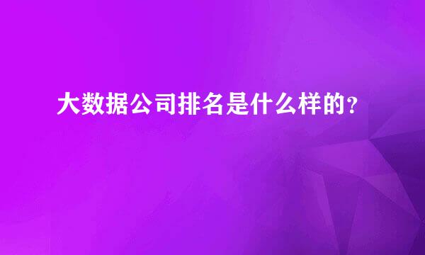 大数据公司排名是什么样的？