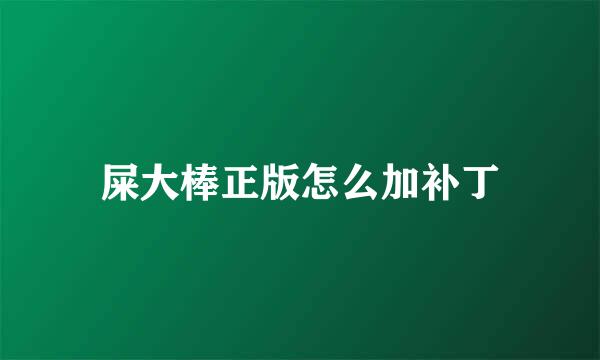 屎大棒正版怎么加补丁