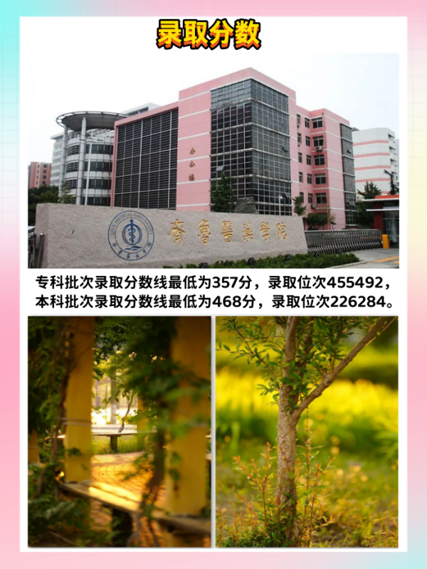 齐鲁医药学院低学费多少