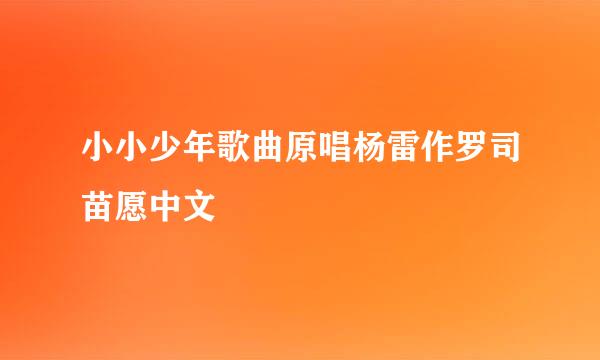 小小少年歌曲原唱杨雷作罗司苗愿中文