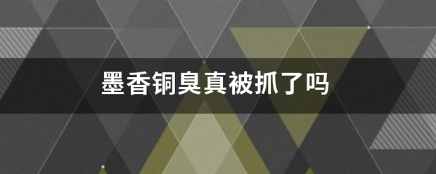 墨香铜臭真被抓了吗