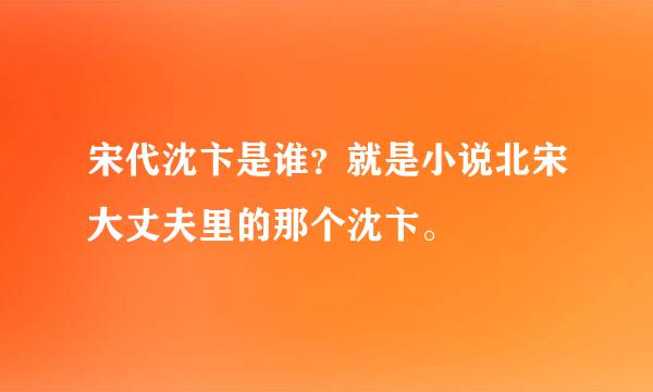 宋代沈卞是谁？就是小说北宋大丈夫里的那个沈卞。