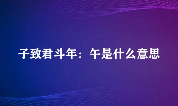 子致君斗年：午是什么意思