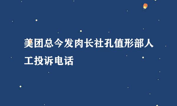 美团总今发肉长社孔值形部人工投诉电话