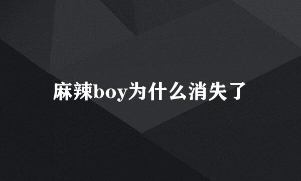 麻辣boy为什么消失了