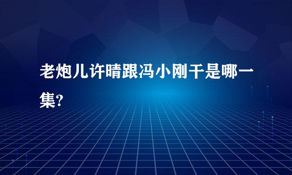 老炮儿许晴跟冯小刚干是哪一集?