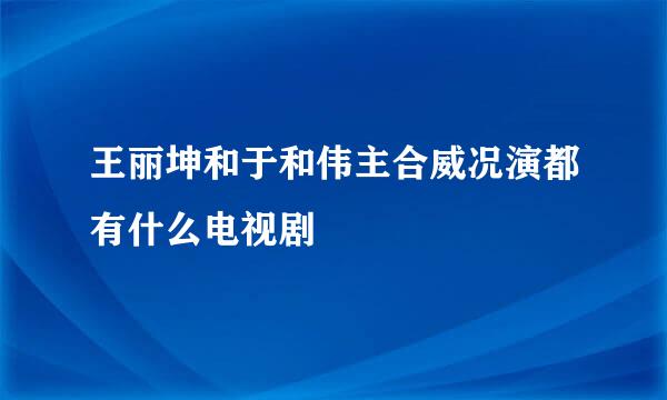 王丽坤和于和伟主合威况演都有什么电视剧