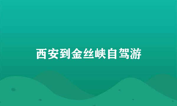 西安到金丝峡自驾游