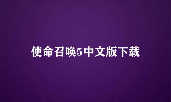 使命召唤5中文版下载