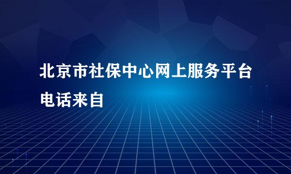 北京市社保中心网上服务平台电话来自