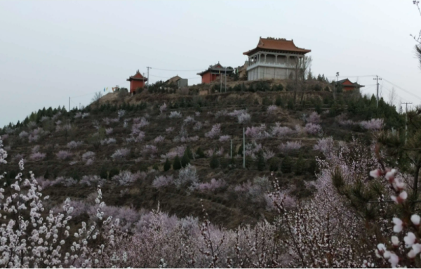 彭阳旅游景点来自有哪些