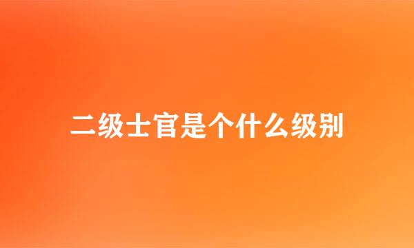 二级士官是个什么级别