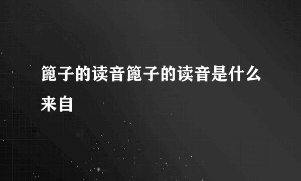 篦子的读音篦子的读音是什么来自