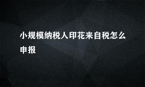 小规模纳税人印花来自税怎么申报