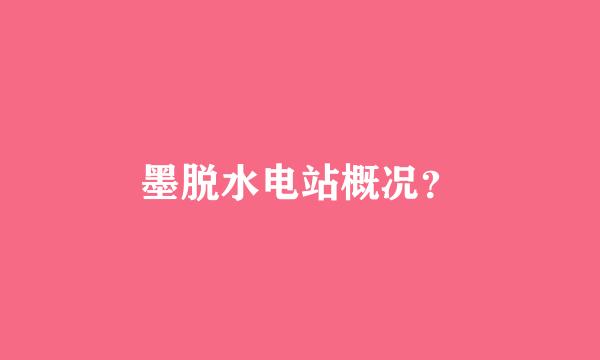 墨脱水电站概况？