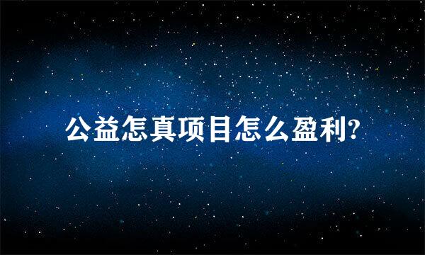 公益怎真项目怎么盈利?