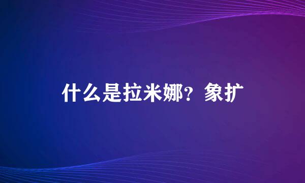 什么是拉米娜？象扩