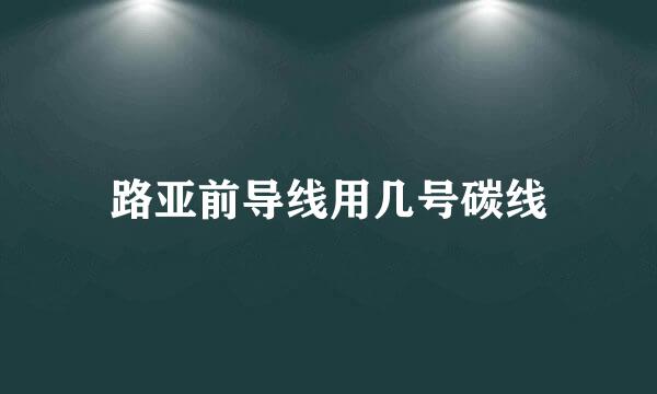 路亚前导线用几号碳线