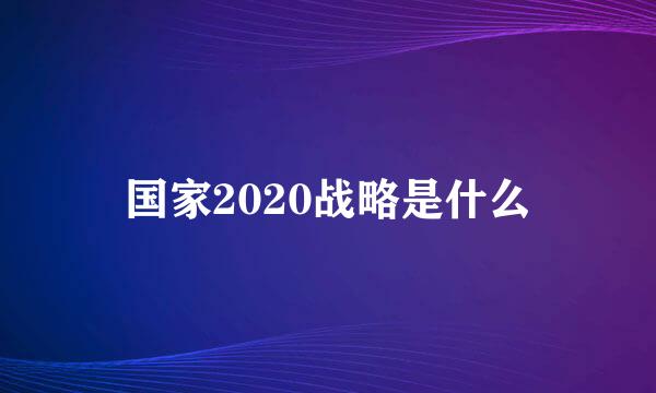 国家2020战略是什么