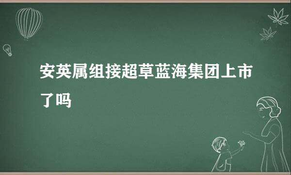 安英属组接超草蓝海集团上市了吗