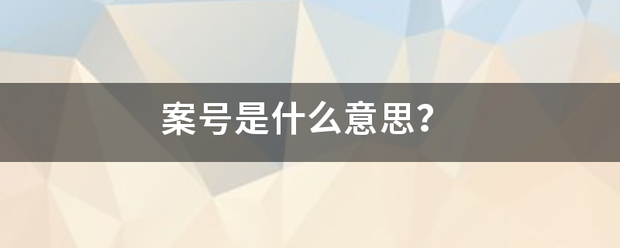 案号是什么意思？