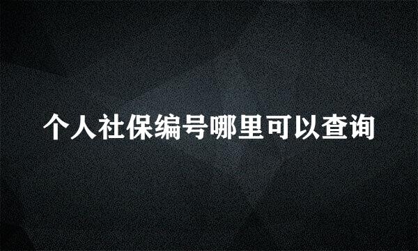 个人社保编号哪里可以查询