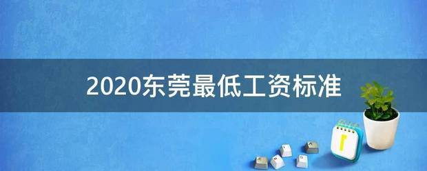 2020东莞最低工资标准