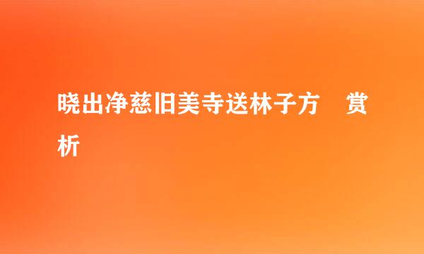 晓出净慈旧美寺送林子方 赏析