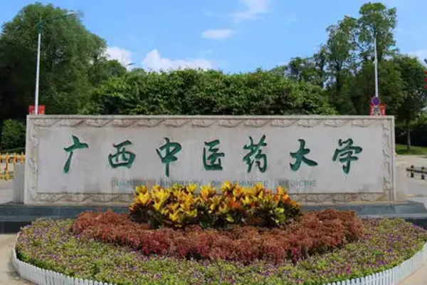 广西中医药大学代码