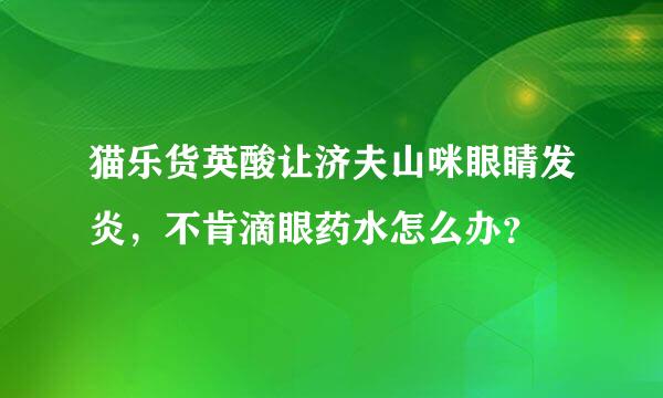 猫乐货英酸让济夫山咪眼睛发炎，不肯滴眼药水怎么办？