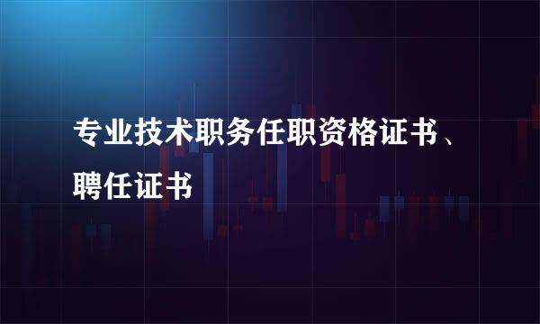 专业技术职务任职资格证书、聘任证书