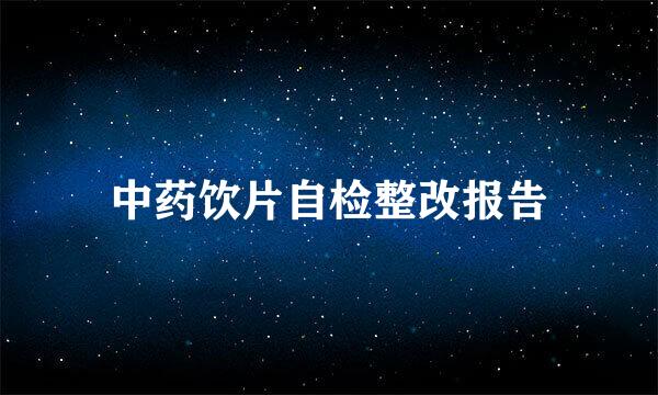 中药饮片自检整改报告