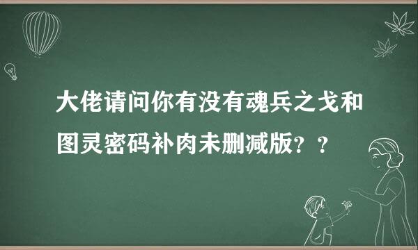 大佬请问你有没有魂兵之戈和图灵密码补肉未删减版？？