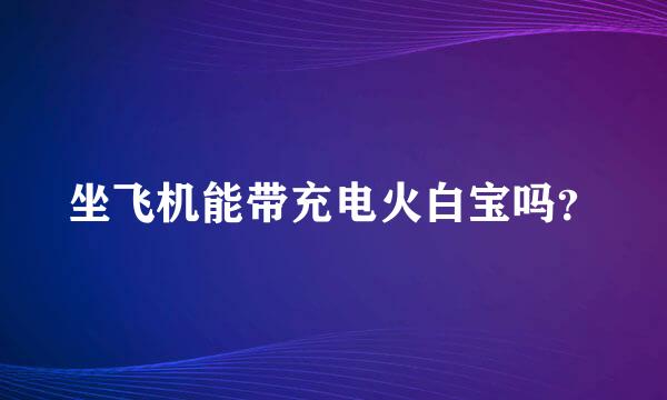 坐飞机能带充电火白宝吗？